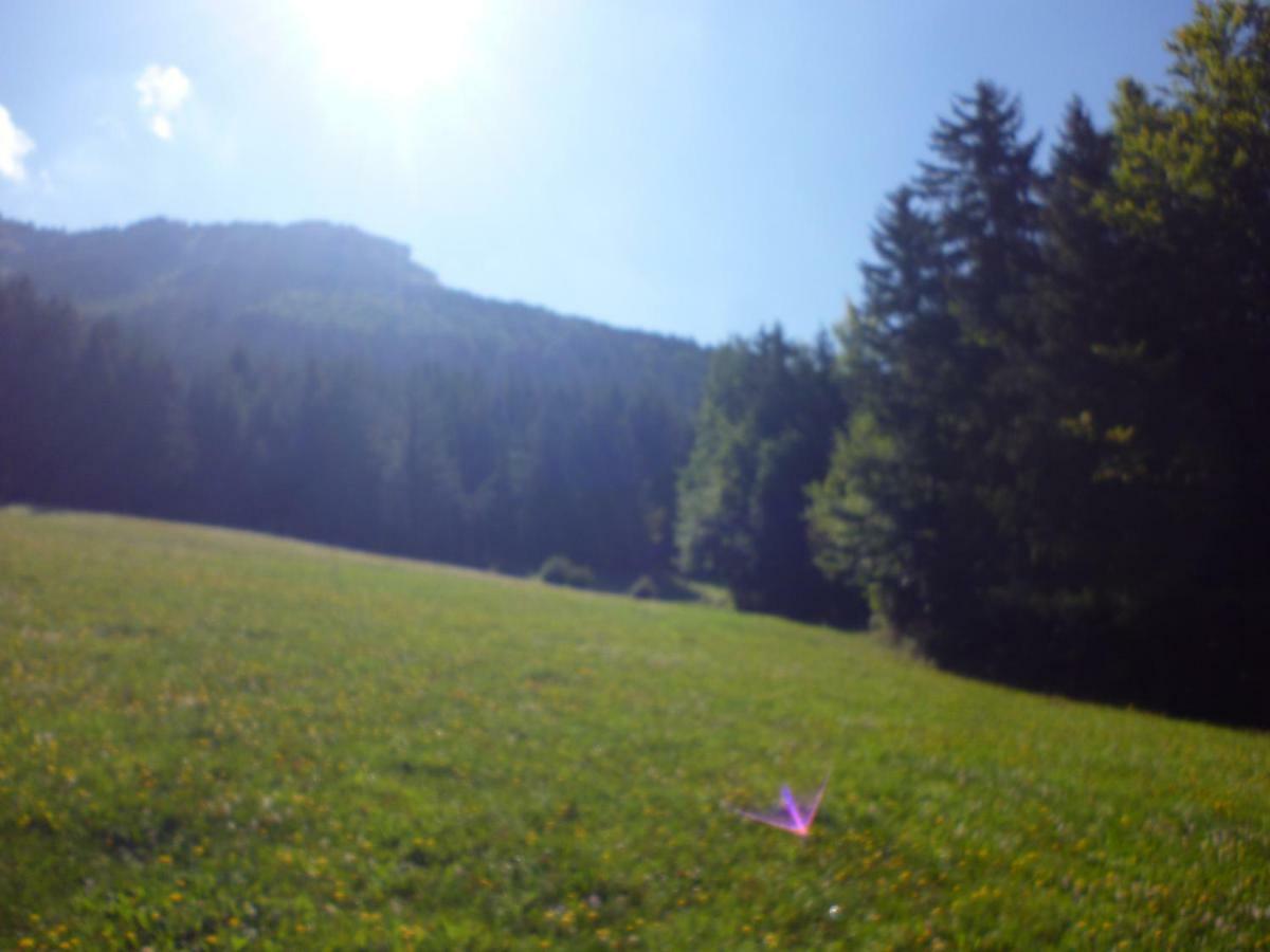 Le Chalet De La Conversaria Bed and Breakfast Villard-de-Lans Exterior foto